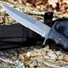 Gerber Silver Trident