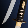 SH2422 - Raptor Wakizashi