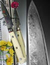 Hiro Knives - Shiki Premium Damascus - Paring